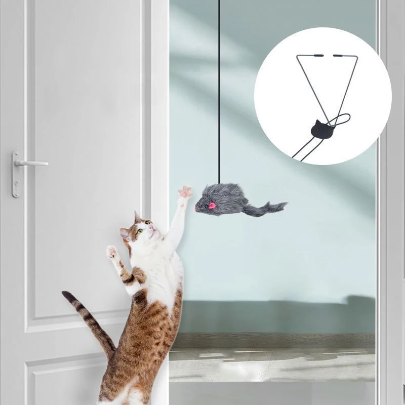 Hanging door mouse teasing cat stick elastic clip door swing hanging jumping toy cat relief pet 1005006783069498