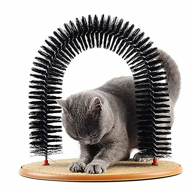 View 5