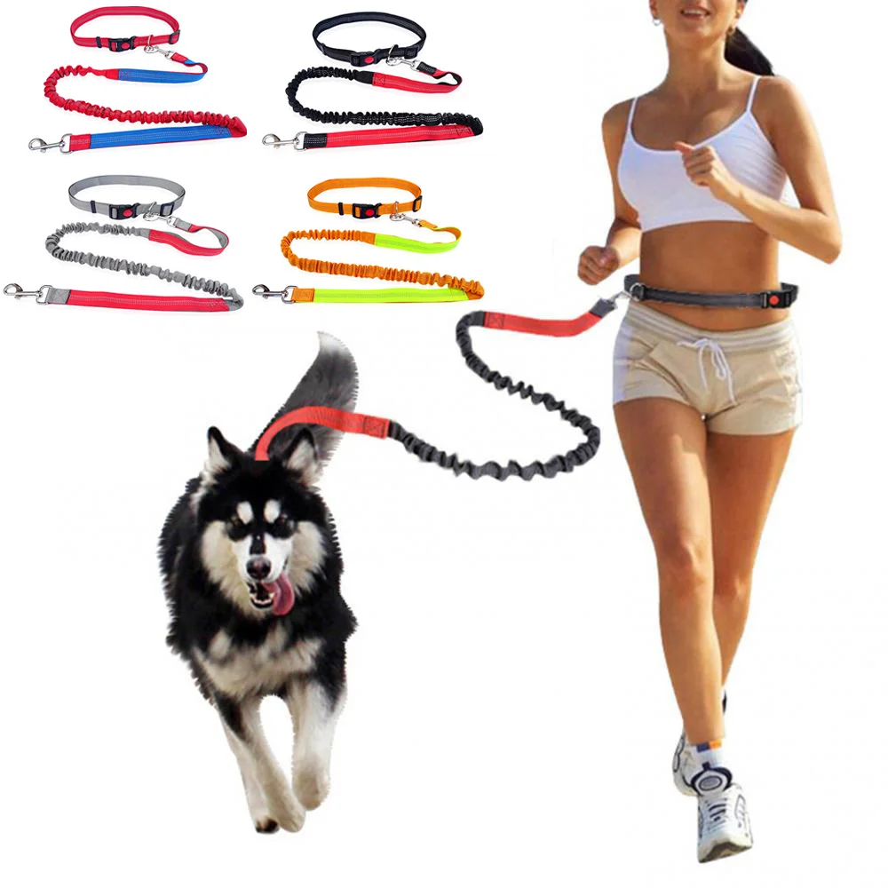 Durable Elastic Nylon Dog Leash For Running And Walking Pet Leash With Comfortable Grip 1005006789488743