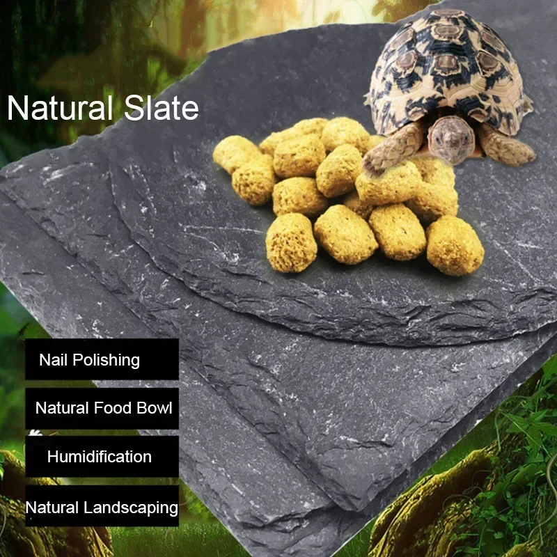 Natural Slate Aquarium Pet Reptile Feeder Bowl Basin Food Water Pot Reptile Turtle Tortoise 1005006799011050
