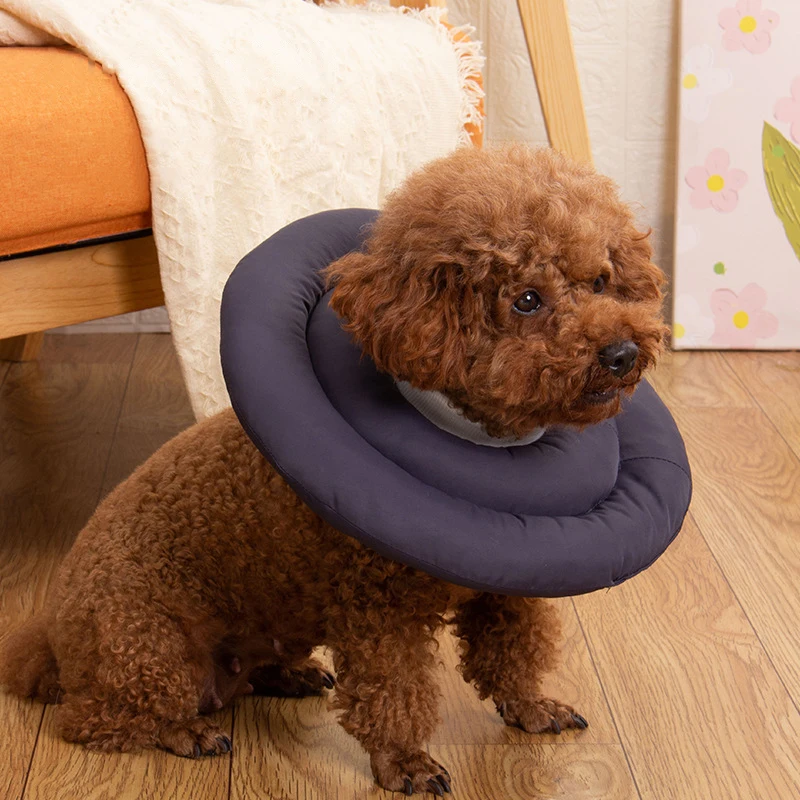 View 5