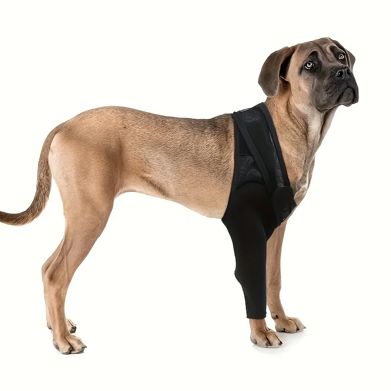Dog Leg Support Bracket 1005006952082948