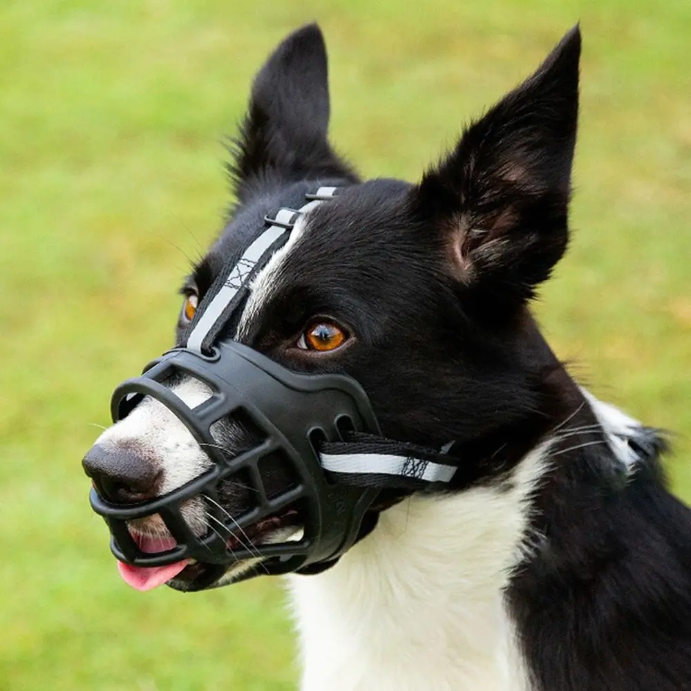 Adjustable Dog Muzzle Anti-Biting Dog Mouth Cover With Reflective Strip Can Drink Water Breathable 1005006954066771