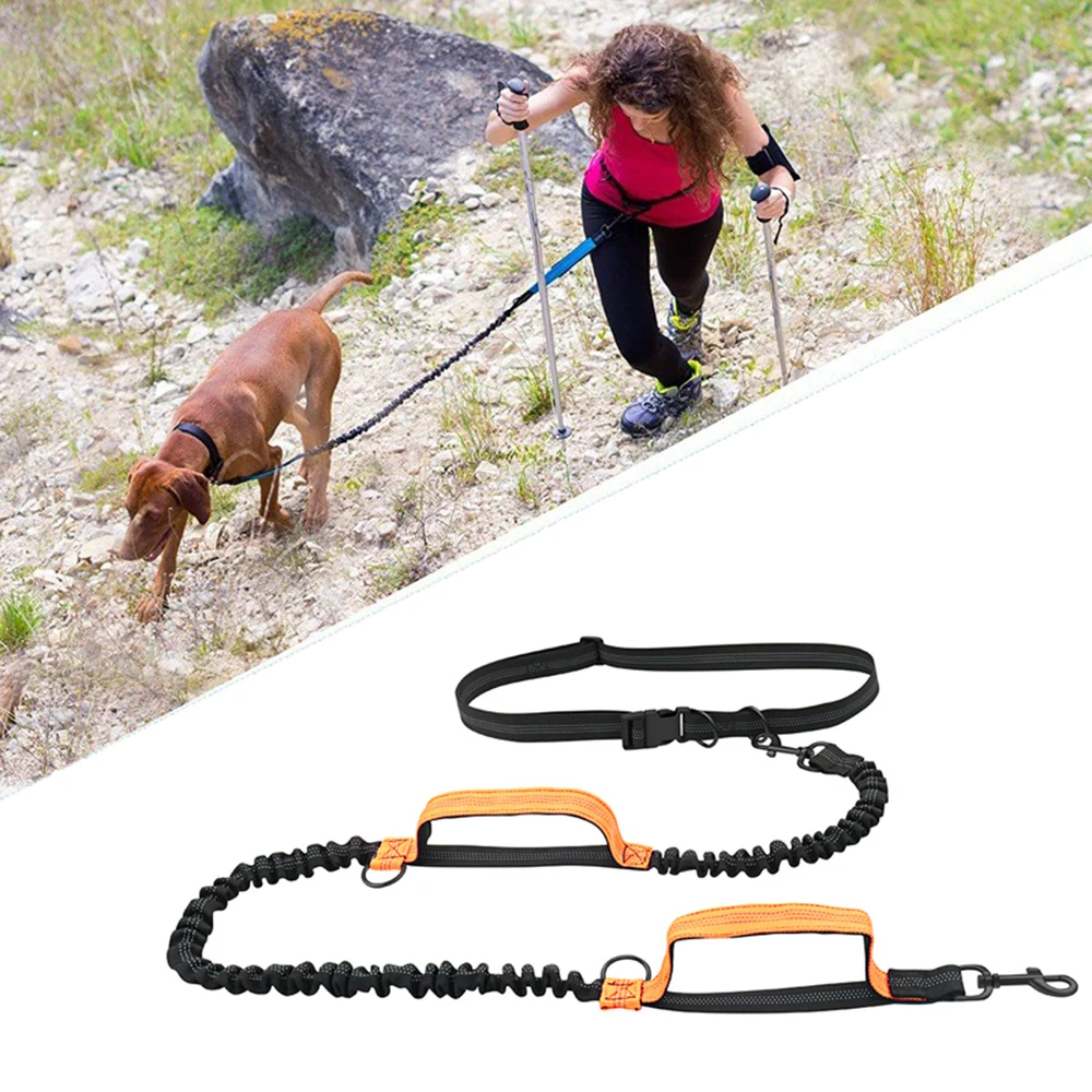 Double elastic reflective running leash portable retractable dog leash dog chain leash pet supplies 1005006954816748