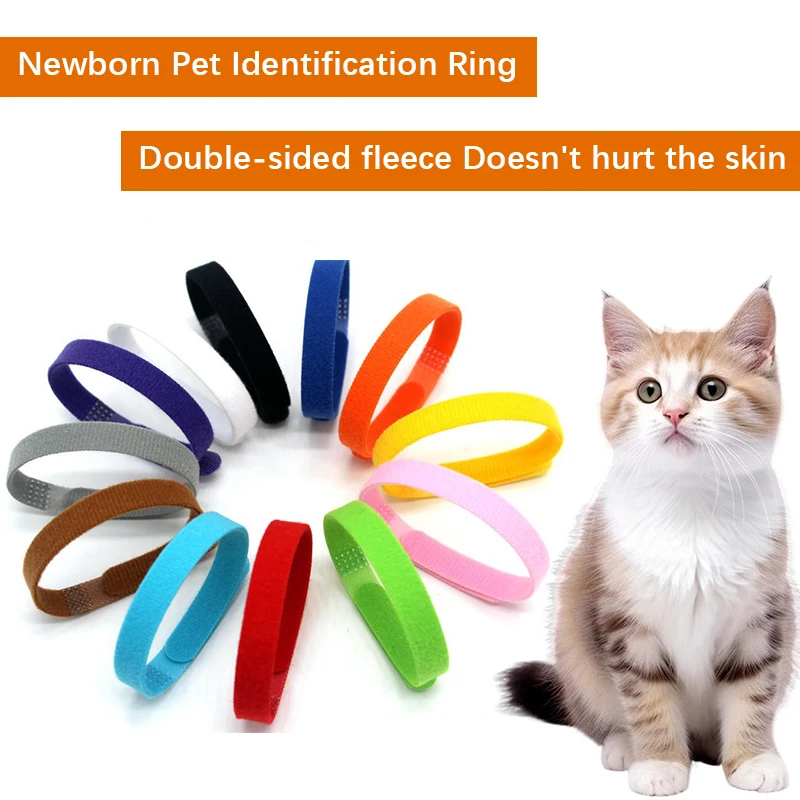 Newborn Cat Dog Distinguishing Identification Ring Both Soft Fluffy Sides Doesnt Hurt the Skin 1005006981633961