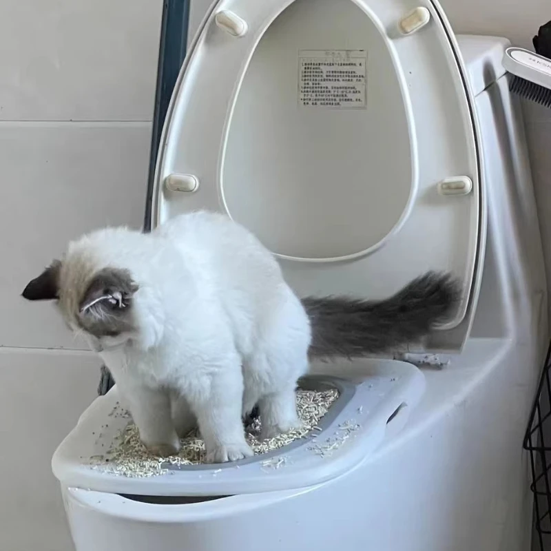 View 5