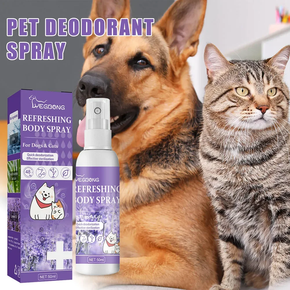 Lavender Oil Dog Deodorizer Spray Long Lasting Puppies Cats Dogs for Smelly Deodorizing Perfume 1005007038504573