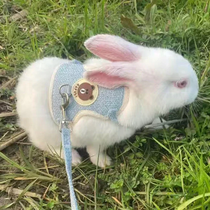 new type Cute Rabbit Harness and Leash Set Bunny Pet Accessories Vest Harnesses Rabbit Leashes for 1005007060597100
