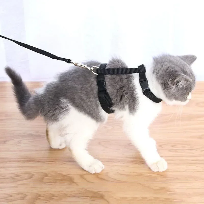 Lightweight Adjustable Cat Harness and Leash Set Escape Proof Kitten Strap Collar for Walking 1005007098574764