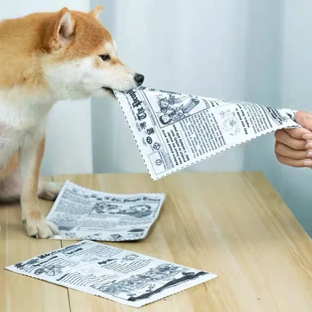 Tearproof Dog Sound Chew Toy Simulated Squeak Newspaper Playing Card K Q J Teeth Resistant Corgi 1005007119426196