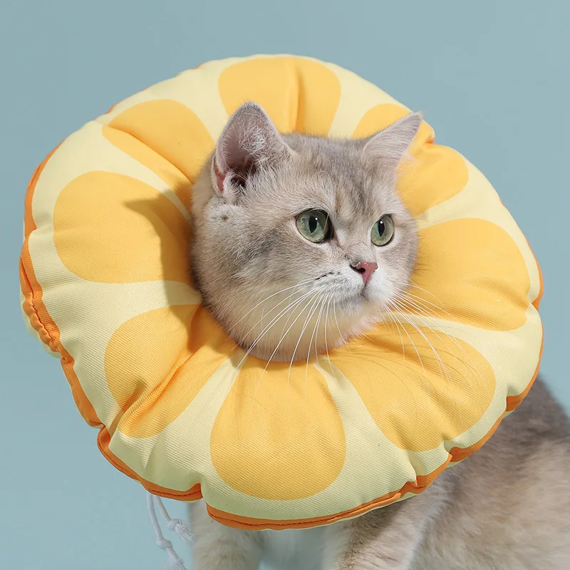 HOOPET Cat Elizabethan Collar Pet Neck Cone Soft Wearing Resistant Accessories Cats Wound Healing 1005007175973538