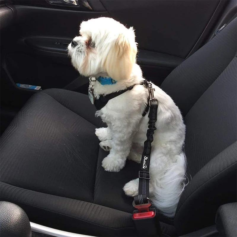 Dog Safety Leash Adjustable Retractable Cushioning Elastic Pet Leash Car Seat Seat Belt Safety Rope 1005007222920004
