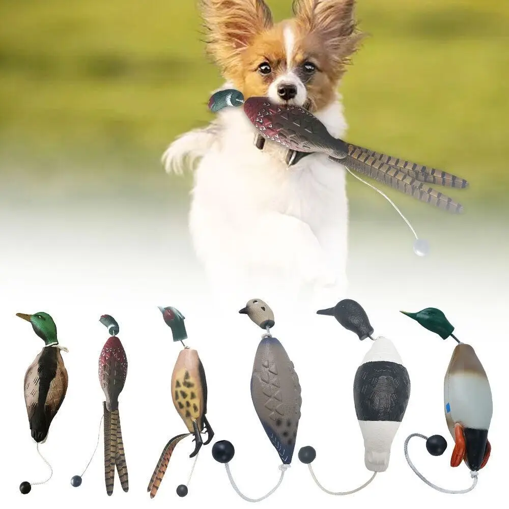 Funny Mallard Duck Decoy Dog Training Toys Bite Resistant For Training Dogs Dog Chew Toy Relaxing 1005007233764275