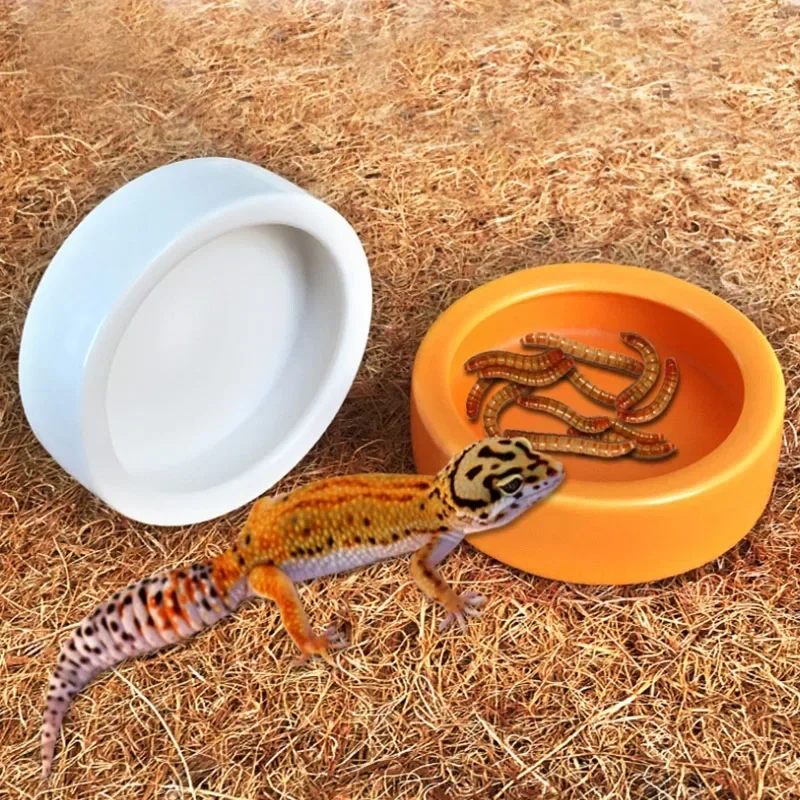 Ceramic Aquarium Pet Reptile Feeder Bowl Basin Food Water Pot Reptile Turtle Tortoise Scorpion 1005007242929356