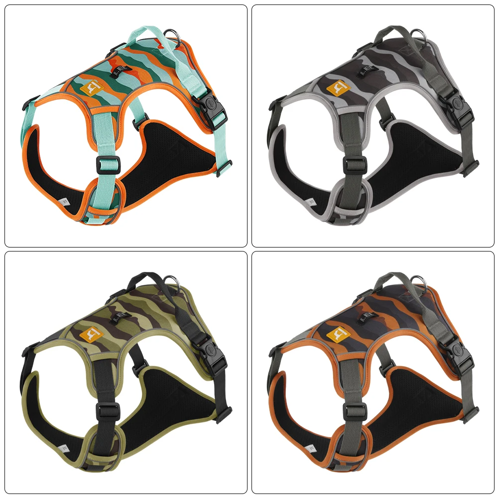 View 5