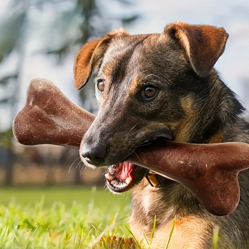 Dog Durable Beef Flavored Chew Toy, Bone Shaped Dog Interactive Play Toy 1005007267115988