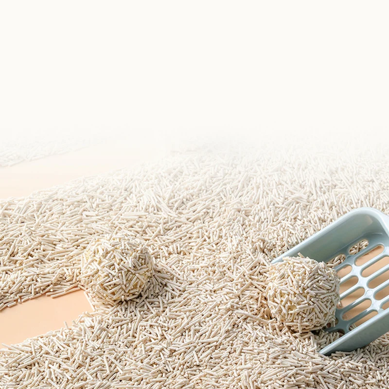 View 4