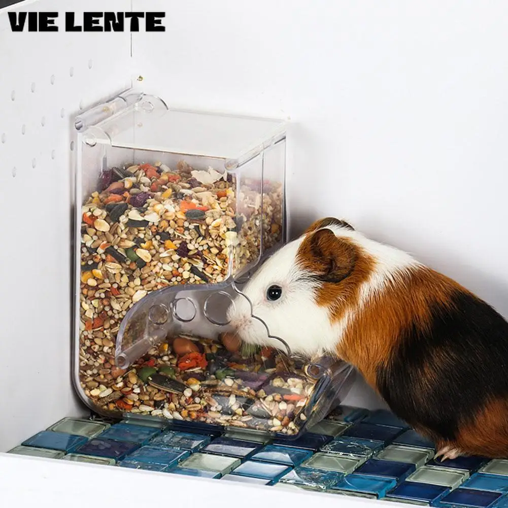 Pet Hamster Rabbit Squirrel Food Dispenser Feeder Plastic Clear Automatic Pet Feeder for Hamster 1005007281891884