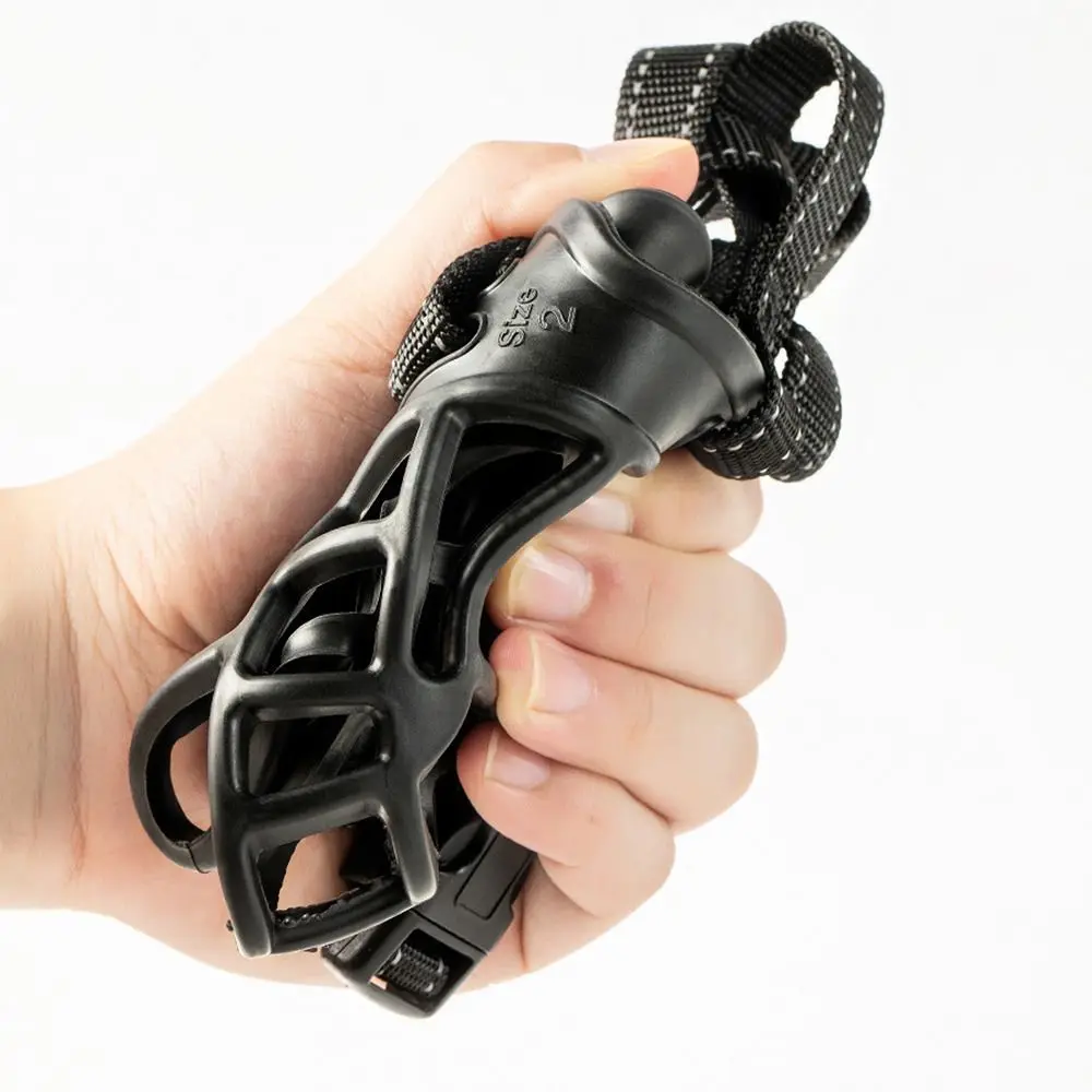 View 4