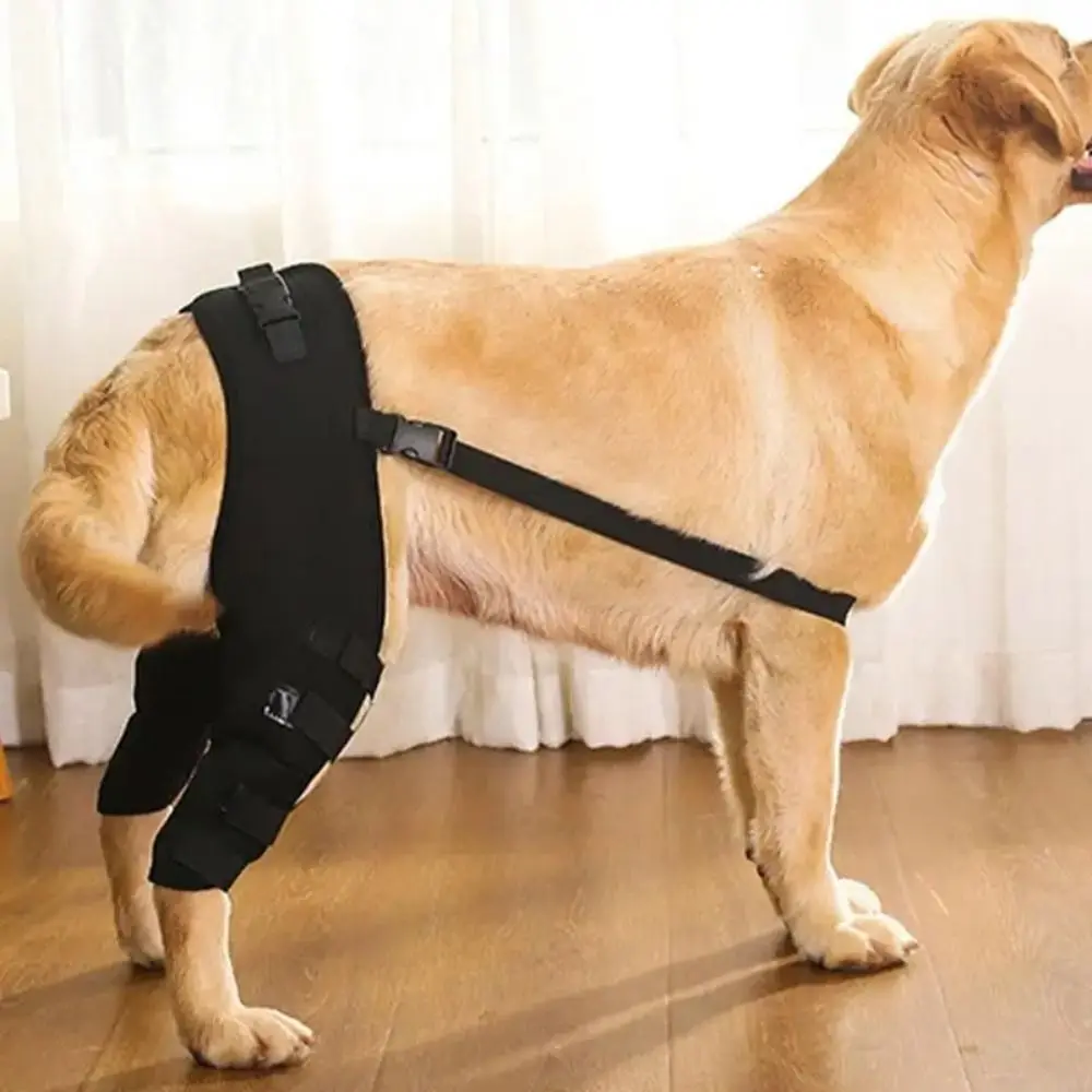 Dog Leg Support Brace Knee Hip Joint Protect Wounds Prevent Injuries Canine Aid And Ligament 1005007294571562