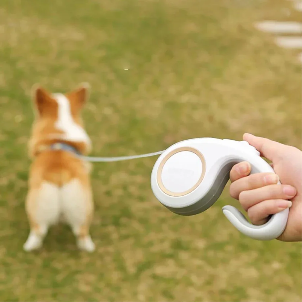 MADDEN 3M 5M Retractable Dog Leash Durable Nylon Pet Walking Leash Automatic Extending Dog Lead 1005007300780935