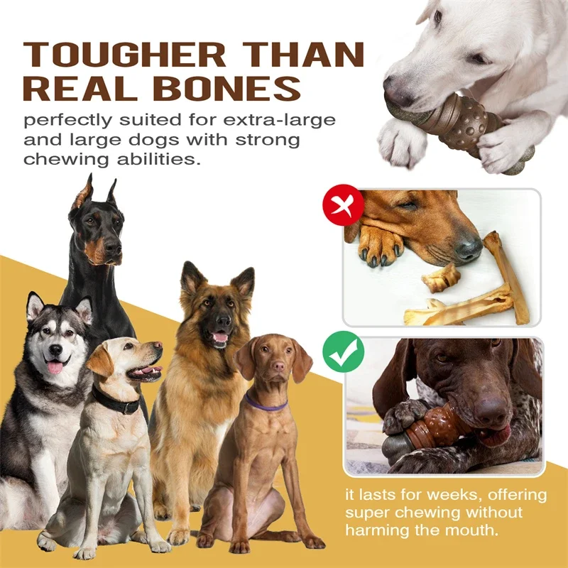 View 3
