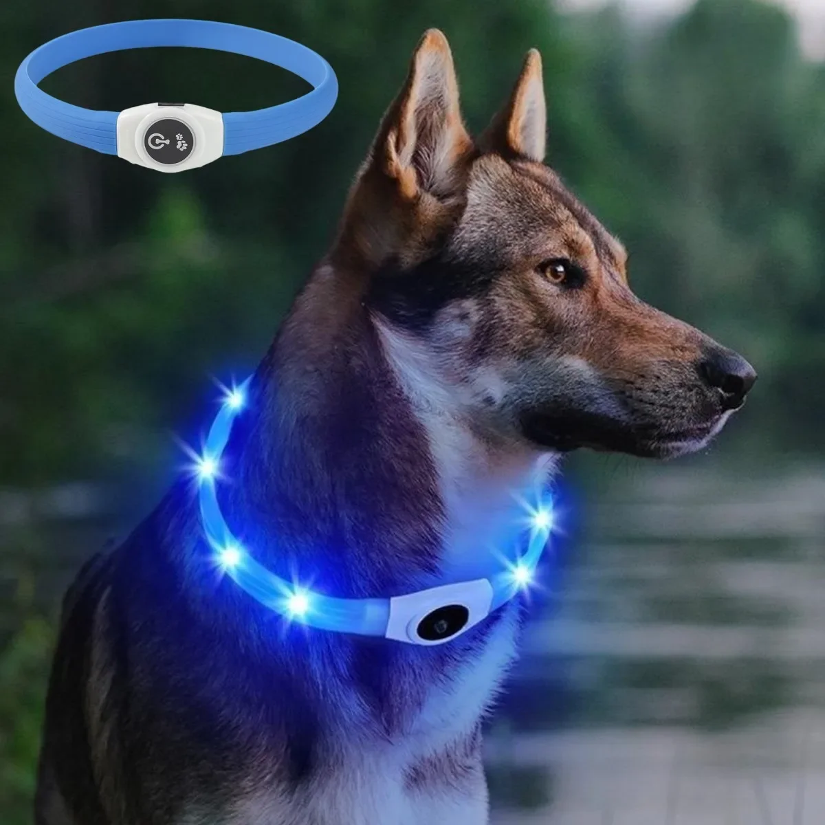 New Led Luminous Dog Collar PVC Waterproof 1005007309675892