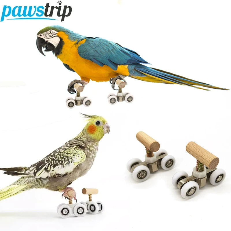 1 Pair Parrot Roller Skates Funny Bird Toys Mini Parrot Training Toy Bird Toys for Parrot 1005007316596031