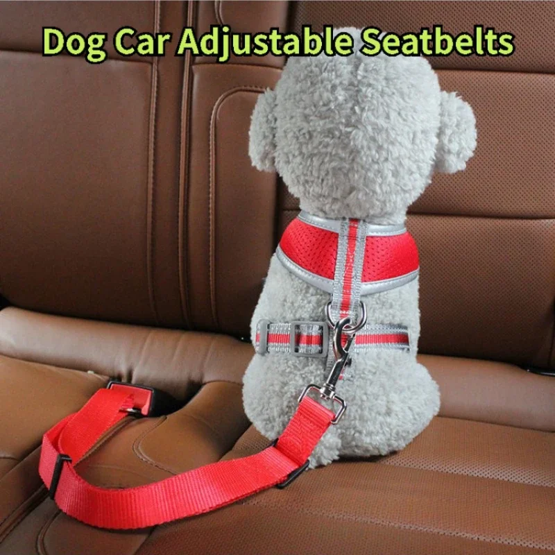 Dog Seat Belt 1005007333831877