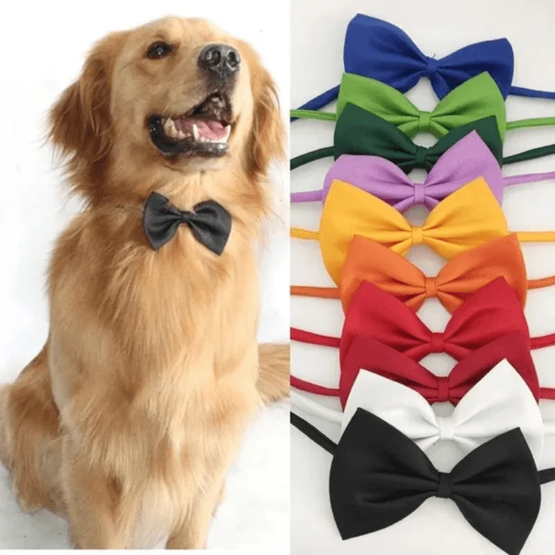 Stylish & Adjustable Pet Bowtie Collar: Make Your Dog Or Cat Look Fabulous 1005007342775002