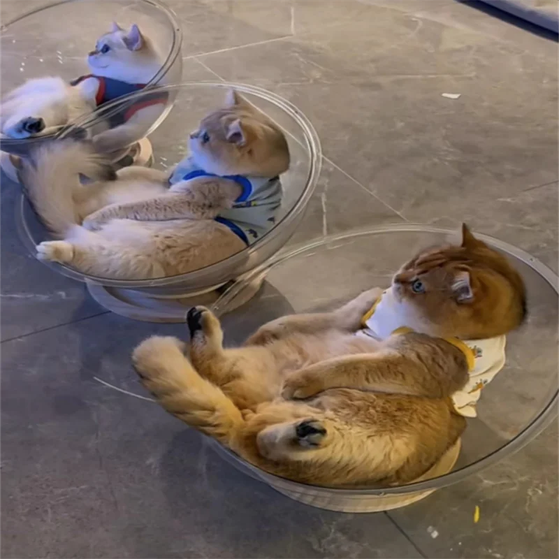 Clearance: Space Cabin Cat Bed, All-Season Transparent Ice-Acrylic Cat House with Wooden Turntable 1005007364333250