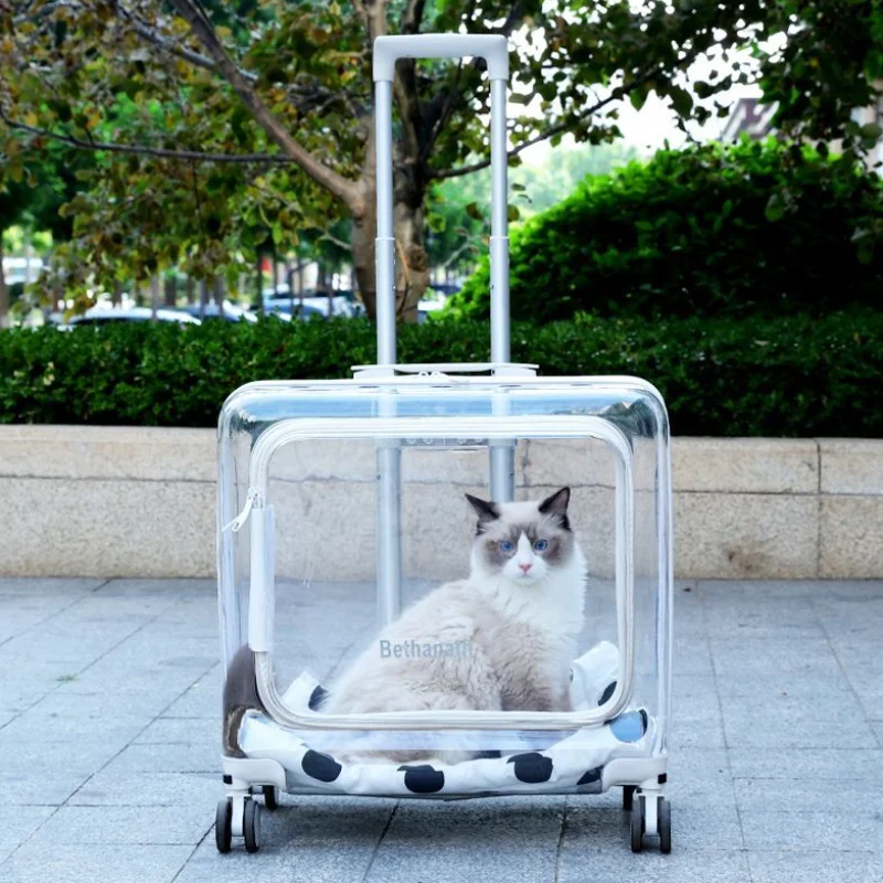 Pets Suitcase Cat Bag Large Transparent Backpack Trolley for Dogs Puppy Carrier Outdoor Travel 1005007378816349