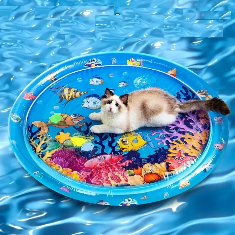 Sensory Water Mat Thickened Sensor Play Water Sensor Cat Mat Pet Supplies Cleaning Cooling Mat 1005007382785553