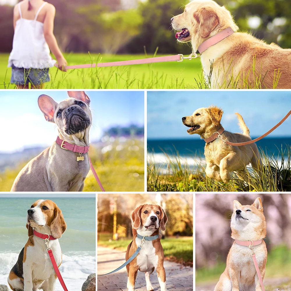View 5