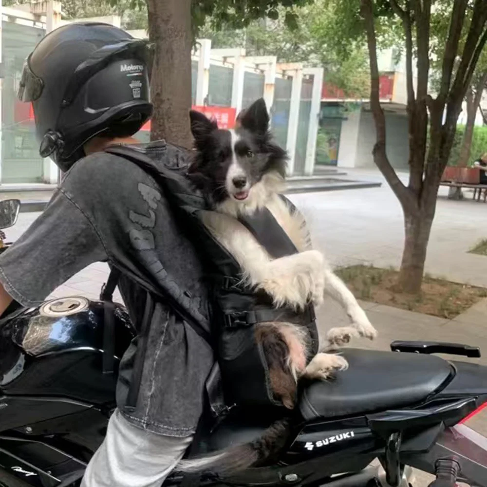 Newest Pet Carrying Bags for Small Medium Dogs Hiking Cycling Puppy Dog Cat Carrier Backpack 1005007402069732