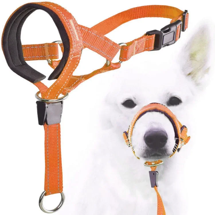 Creative Dog Halter Halti Training Head Collar Gentle Leader Harness Nylon Breakaway All Seasons 1005007409327831