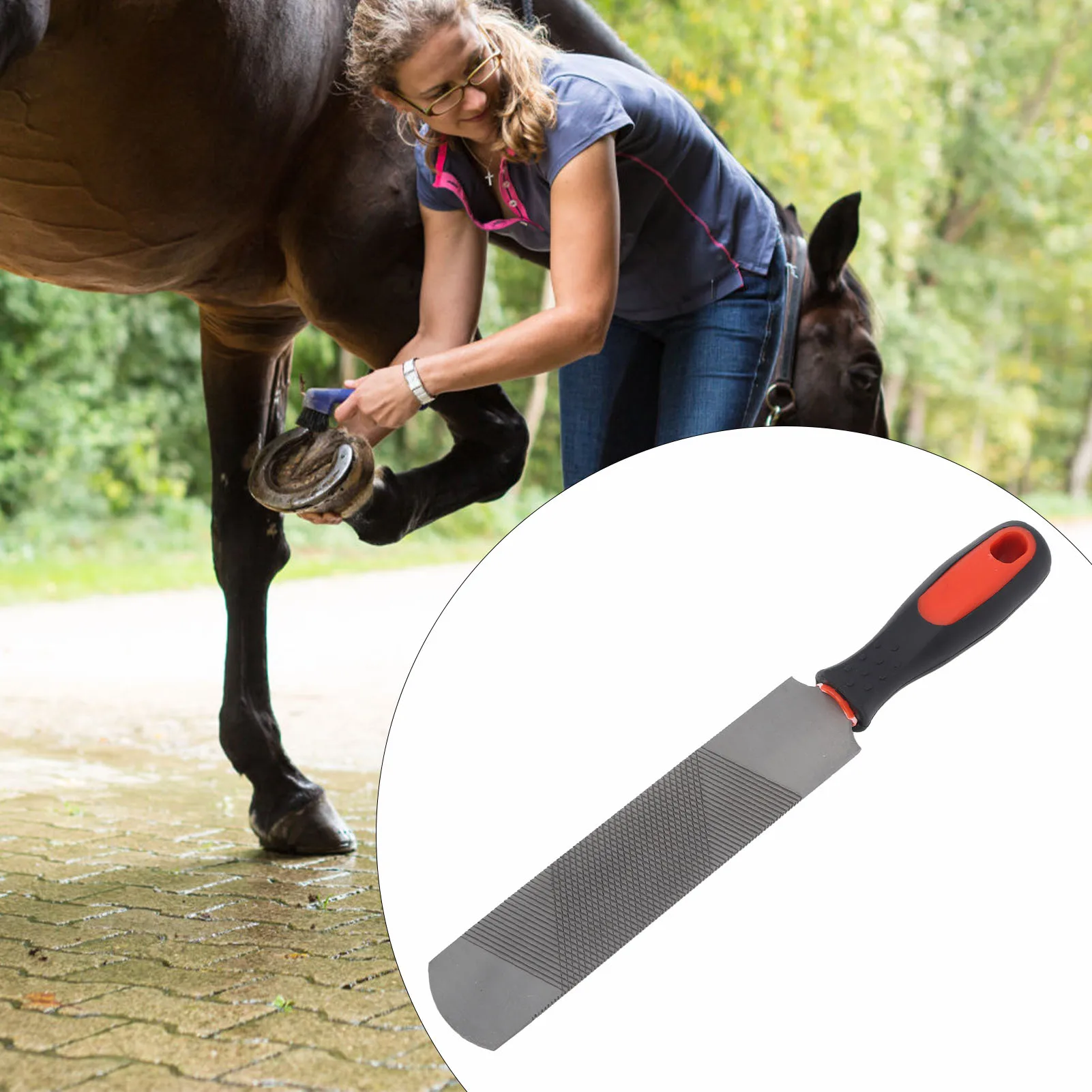 8 Inch Hoof Rasp Carbon Steel Ergonomic Horseshoe File Horseshoe Trimming Tool with Flexible Handle 1005007433470465