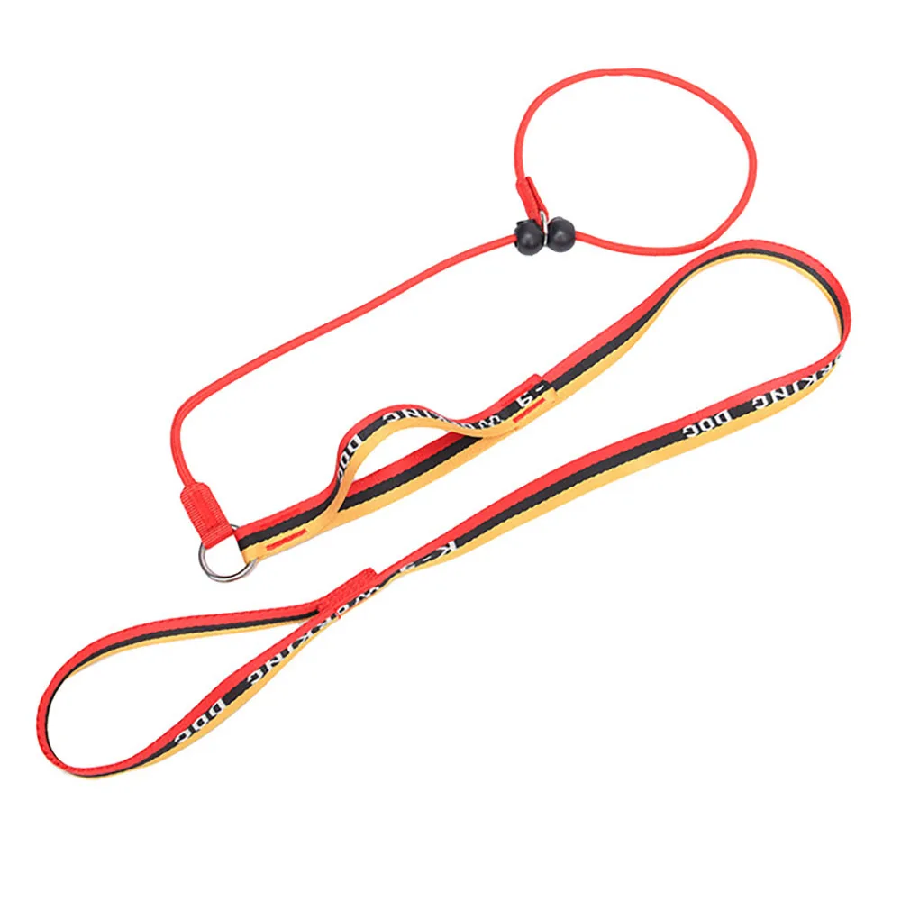 Dog Slip Lead Dog Leash, Training Leash, Cinch Leash, No-Pull Slip Leash and Collar 1005007436271208
