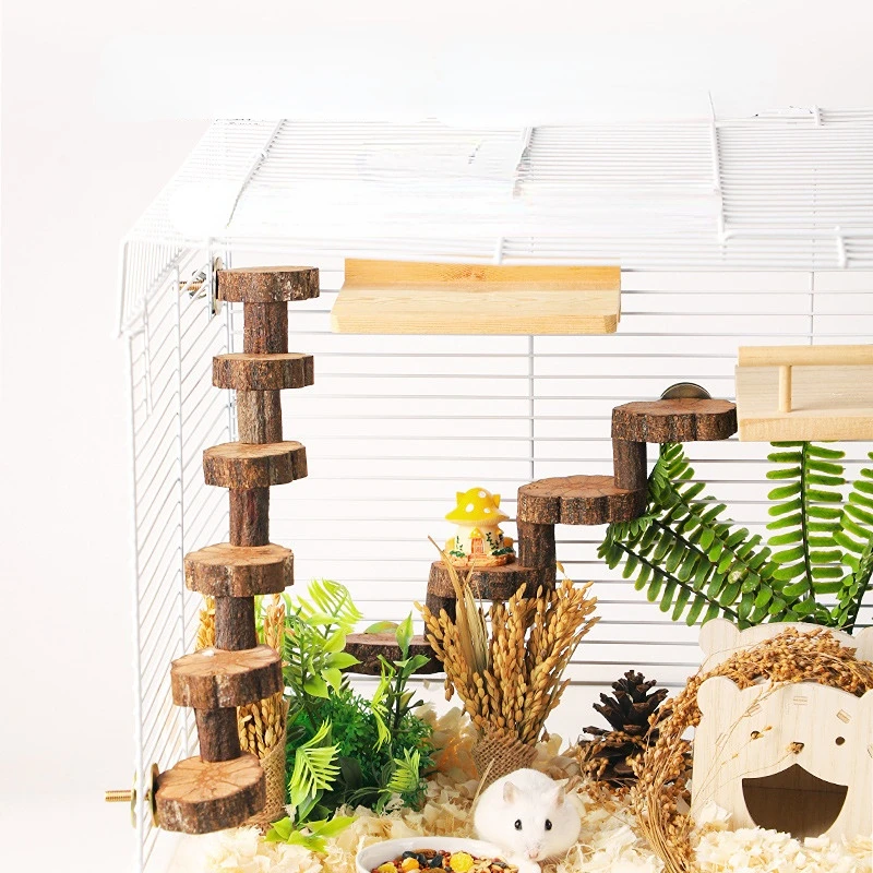 Hamster Chew Toys Small Animal Molar Toys Teeth Care Wooden Accessories for Guinea Pigs Chinchillas 1005007440536745