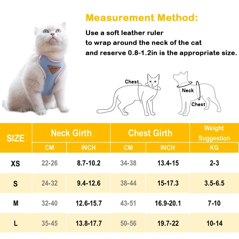 View 6