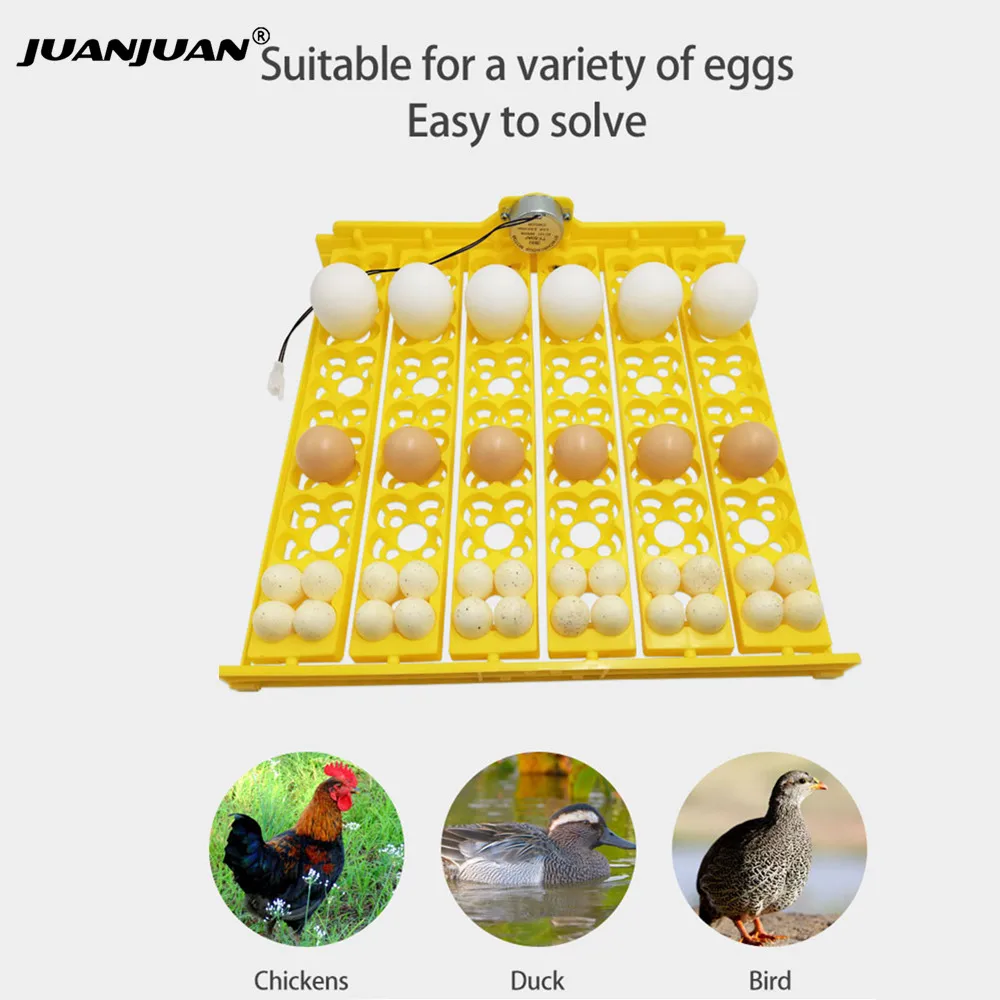 24 Eggs Tray Incubator Turner Automatically Egg Plates Turn Eggs Poultry Incubation Equipment for 1005007462374251