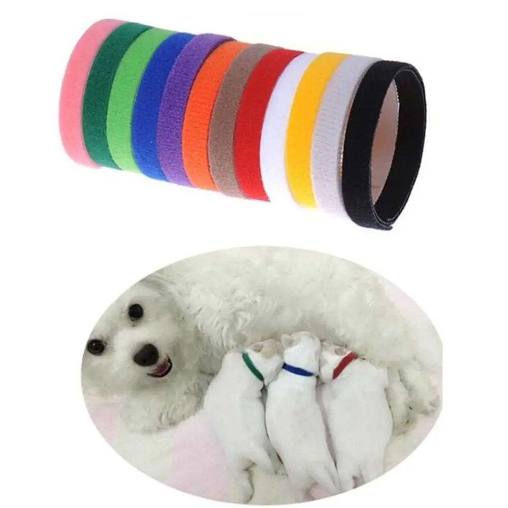 15PCS Identification ID Collars Whelp Kitten Dog Cat Velvet Practical Nylon Reusable Puppy ID 1005007475100617