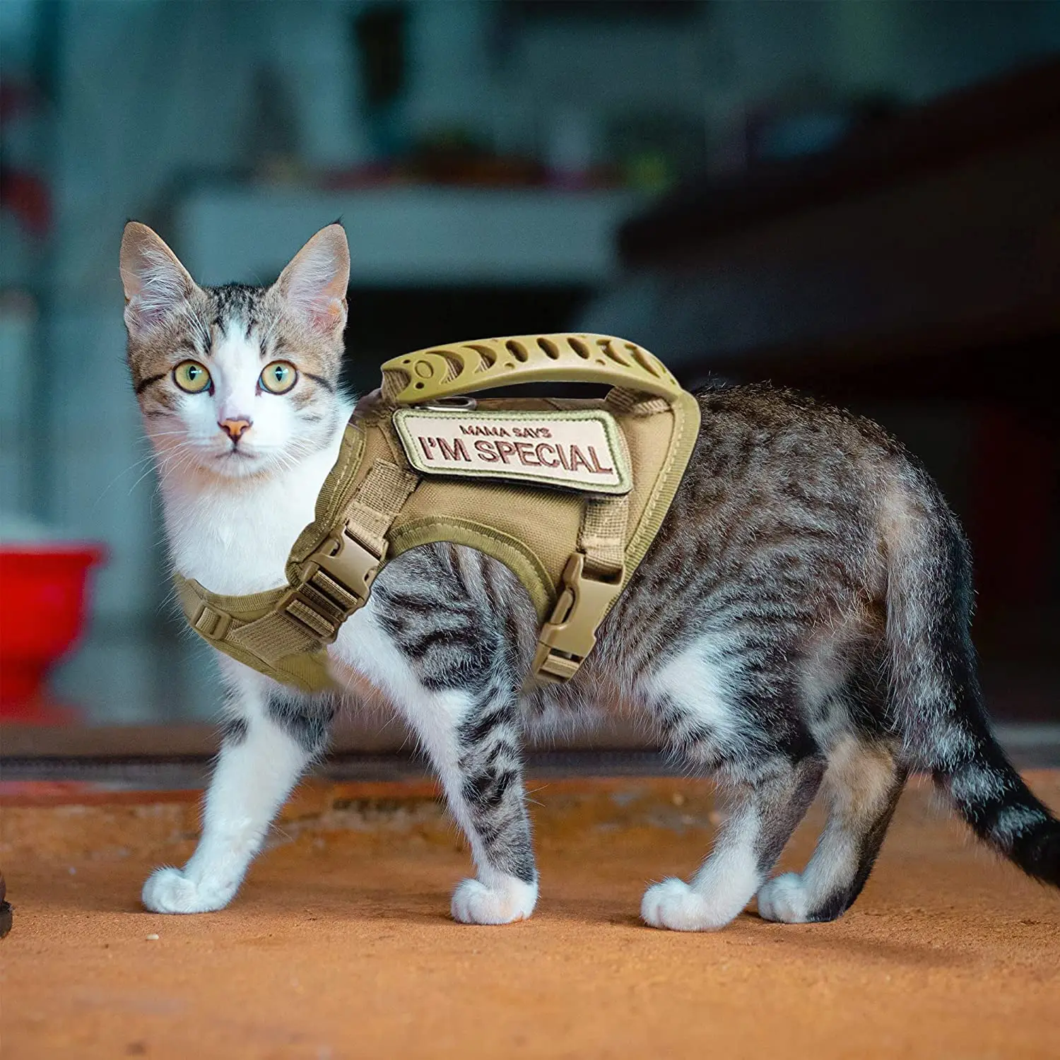 Tactical Cat Harness For Walking Escape Proof Adjustable Pet Vest Harness Soft Mesh With Control 1005007477002047