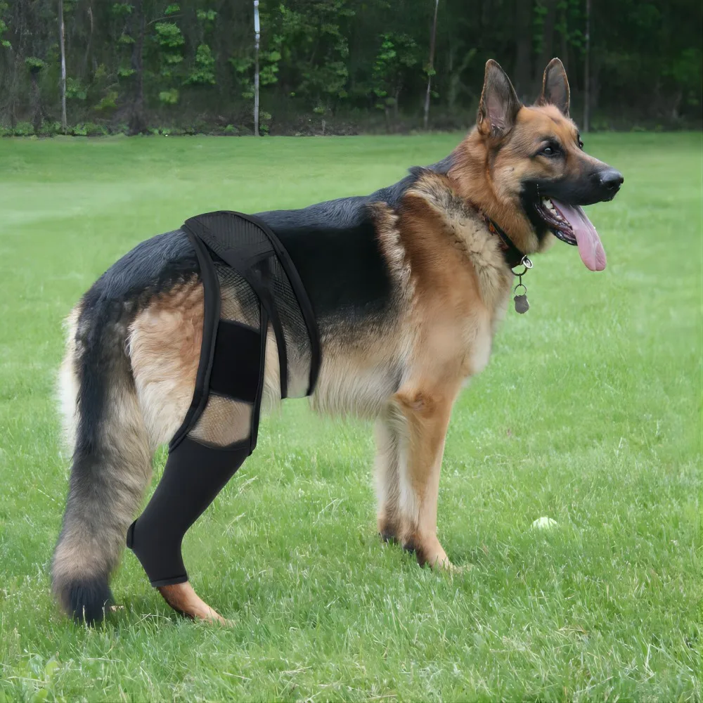 Dog Leg Support Injuried For Post-operative Fixation Pet Knee Pads For Joint Injury Recovery Legs 1005007504101683