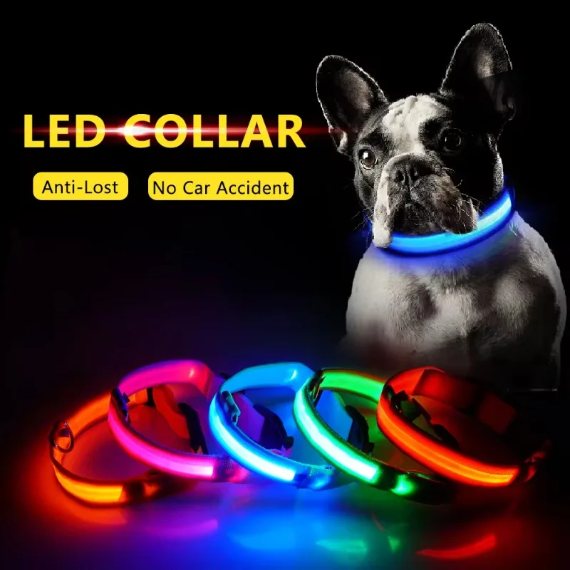 USB Charging Led Dog Collar Anti-Lost/avoid Car Accident Collar for Dogs Puppies Dog Collars Leads 1005007506770175