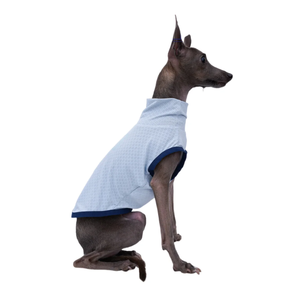 Dog Cooling Clothing in Summer Blue Pink Breathable T-Shirt for Italian Greyhound Mosquito-Proof 1005007528321038