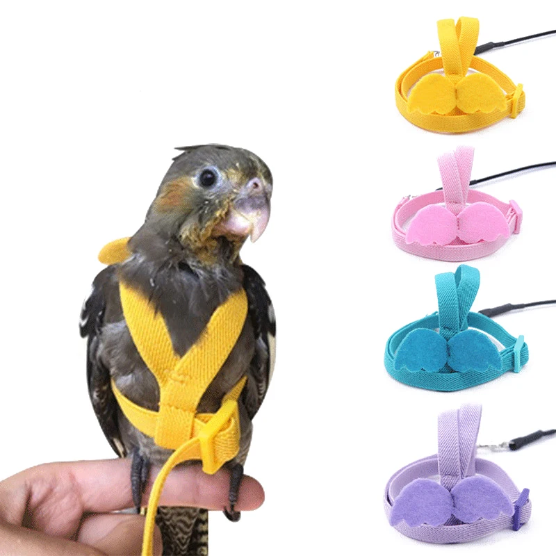 Parrot Flying Harness Leash Suit Pet Bird Outdoor Flight Training Rope Cockatiel Supplies Macaw 1005007539896443