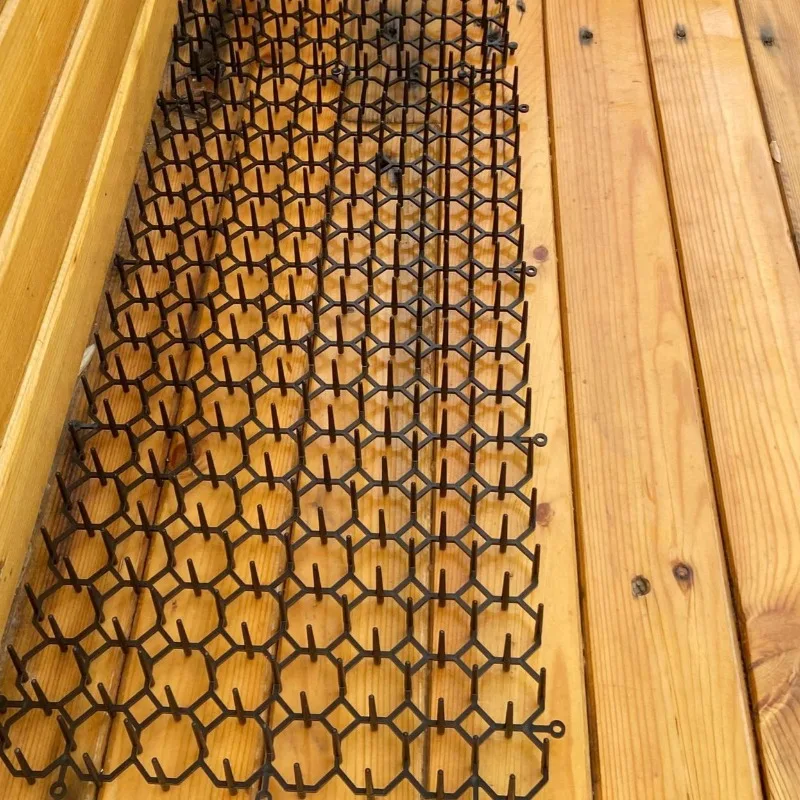 View 5