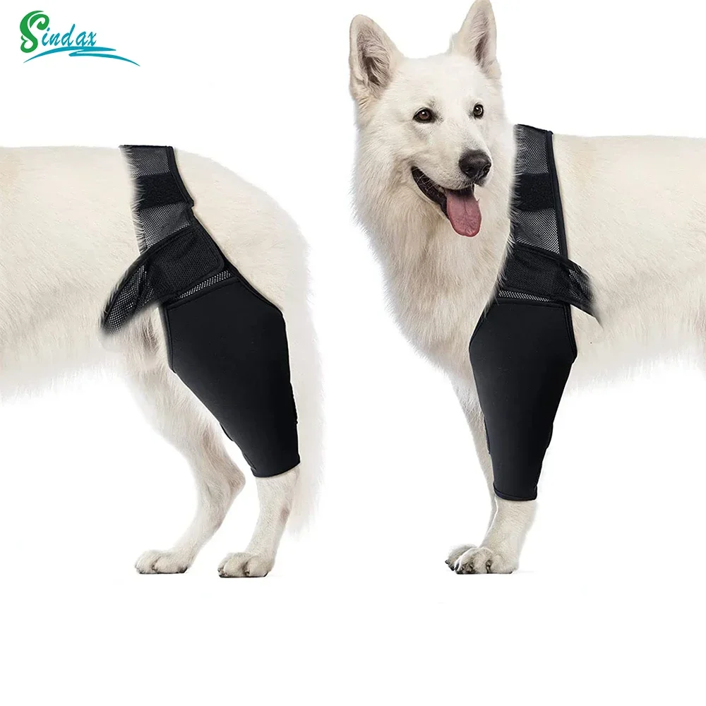 Pet Dog Knee Brace for Joint Pain Muscle Sore Leg Brace Rear Leg Bracer Support for Elderly 1005007549122286