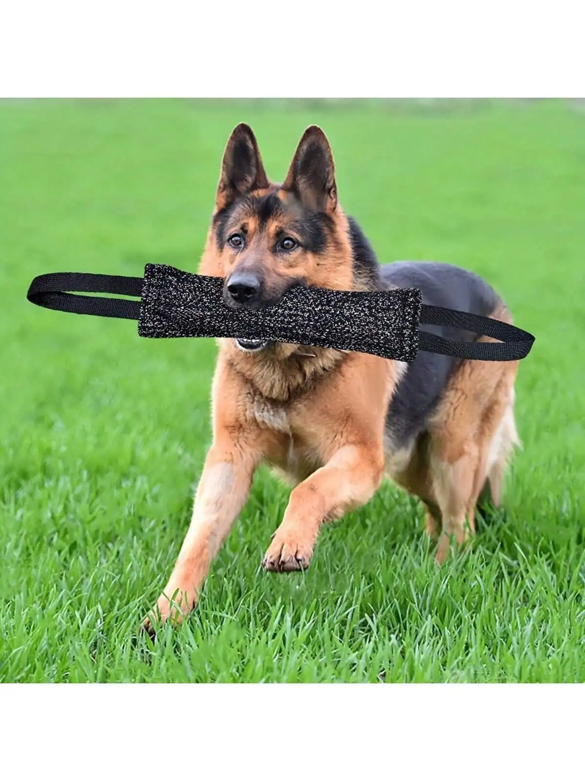Dog Bite Stick Enhances Effective Training- Comfortable Handle for Interactive Play (1pc) 1005007561625919